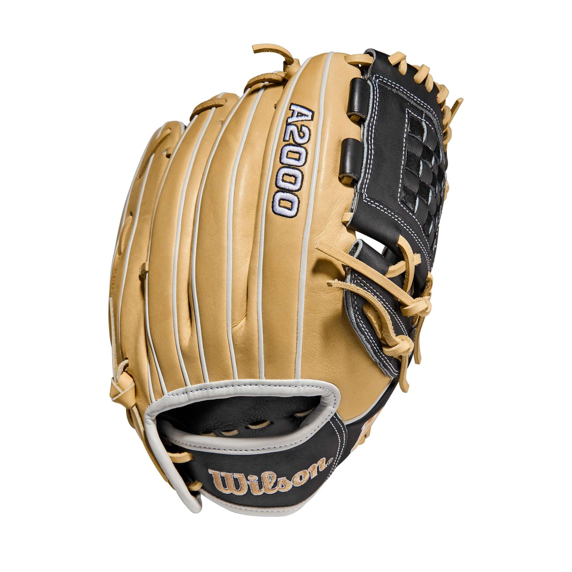 Wilson a2000 fastpitch softball 2025 glove