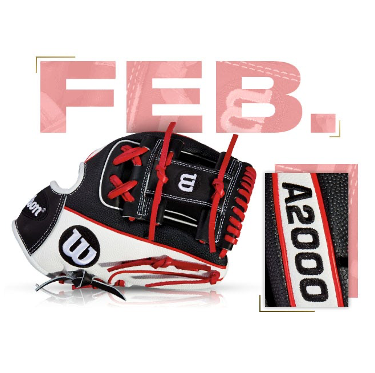 Wilson 100 GOTM February 2017 Two-Color Superskin A2000 1786