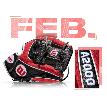 Wilson 100 GOTM February 2019 Custom A2000 1786 SS