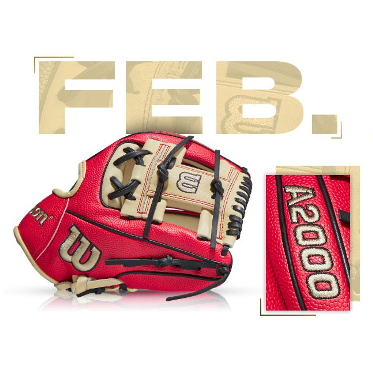 Wilson 100 GOTM February 2020 Custom A2000 1786 SS