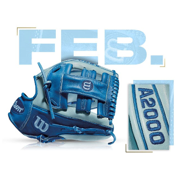 Wilson A2000 G5 glove in blue, featured for February 2014 GOTM, showcasing quality craftsmanship and design.