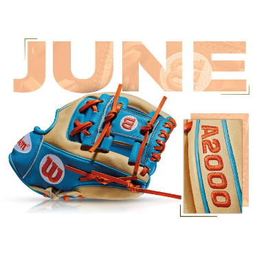 Wilson 100 GOTM June 2016 Tropical Blue A2000 1788