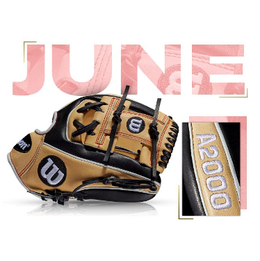 Wilson 100 GOTM June 2018 Custom A2000 1786