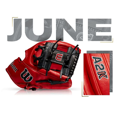 Wilson 100 GOTM June 2021 Custom A2K 1786