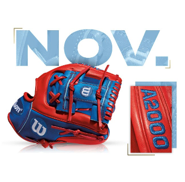 Wilson 100 GOTM November 2016 Rougned Odor GM - Custom A2000 1786