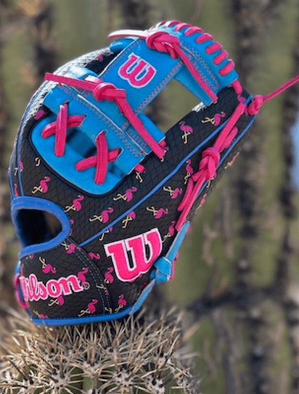 Wilson A2000 1786 KG Flamingo Trop 11.5 baseball glove with pink laces and flamingo pattern, displayed on cactus background