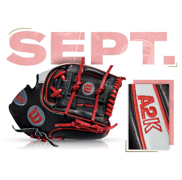 Wilson A2K DATDUDE glove featured in September 2015 Fan Vote, showcasing black and red design elements.