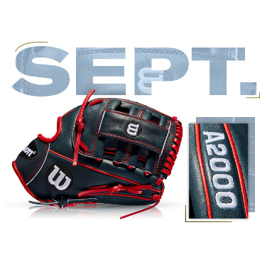 Wilson 100 GOTM September 2018 Brian Dozier Custom A2000 G4