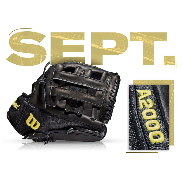 Wilson A2000 DW5 SS glove for September 2019, showcasing black leather and detailed stitching.