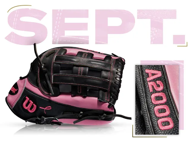 Wilson A2000 glove from the September 2013 Breast Cancer Awareness GOTM Collection, featuring pink and black design.