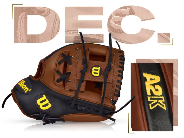 Wilson A2K DP15 baseball glove from December 2014, featuring premium leather and stylish design.