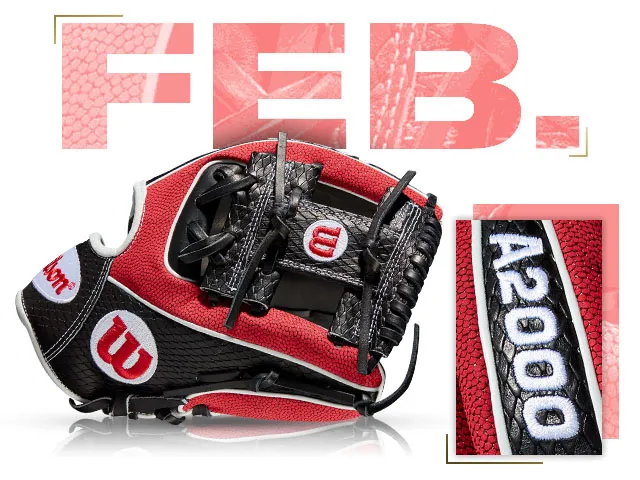 Wilson 100 GOTM February 2019 Custom A2000 1786 SS