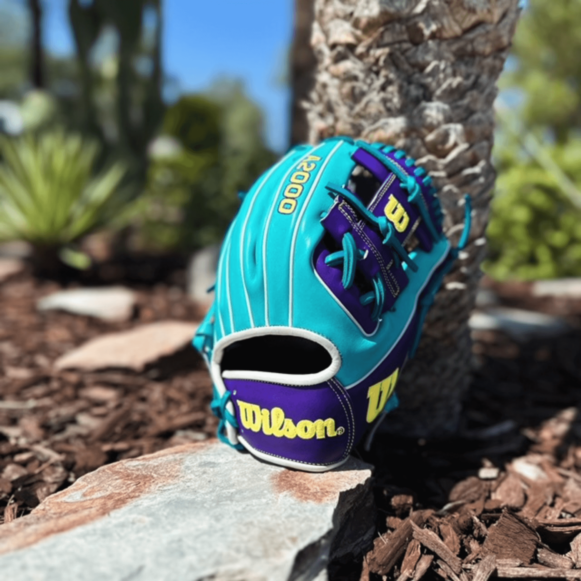 Wilson A2000 1786 11.5" Baseball Glove KETEL4 in Teal and Purple resting on ground in a natural outdoor setting