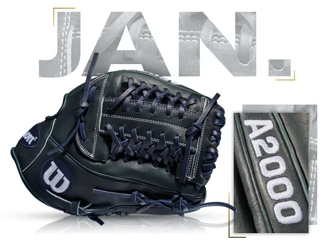 Wilson A2000 CJW custom glove for January 2015 with Alex Cobb's design and sleek black leather finish.